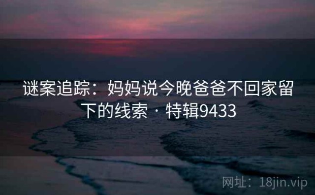 谜案追踪：妈妈说今晚爸爸不回家留下的线索 · 特辑9433