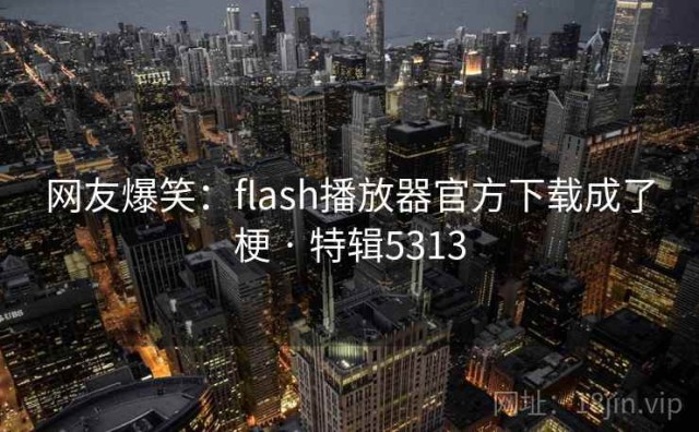 网友爆笑：flash播放器官方下载成了梗 · 特辑5313