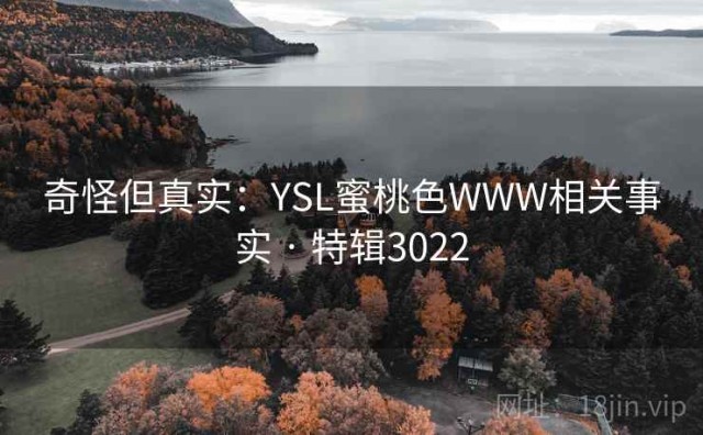 奇怪但真实：YSL蜜桃色WWW相关事实 · 特辑3022