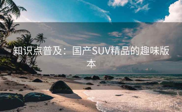 知识点普及：国产SUV精品的趣味版本
