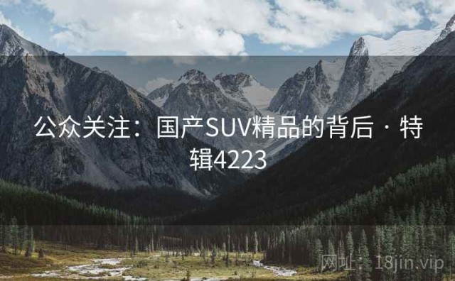 公众关注：国产SUV精品的背后 · 特辑4223