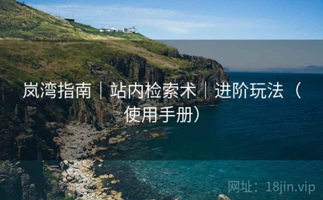 岚湾指南｜站内检索术｜进阶玩法（使用手册）