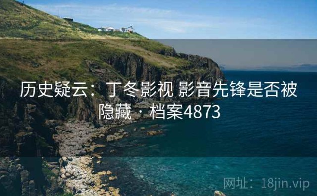 历史疑云：丁冬影视 影音先锋是否被隐藏 · 档案4873