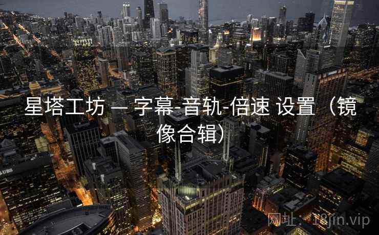 星塔工坊 — 字幕-音轨-倍速 设置（镜像合辑）
