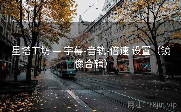 星塔工坊 — 字幕-音轨-倍速 设置（镜像合辑）