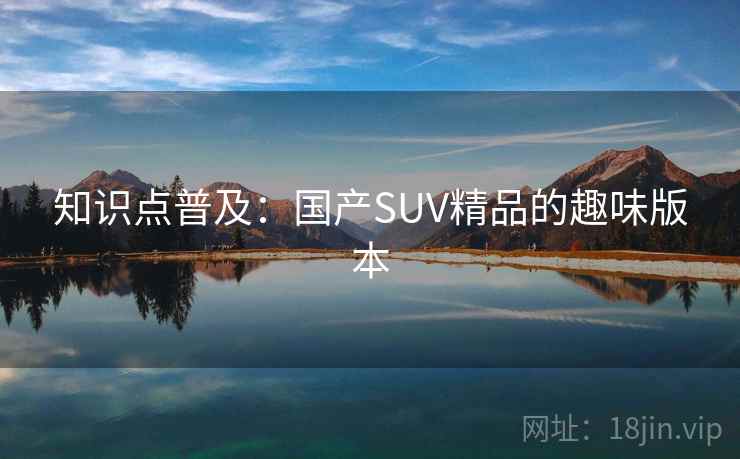 知识点普及：国产SUV精品的趣味版本