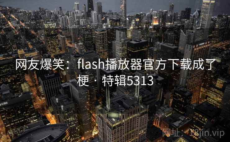 网友爆笑：flash播放器官方下载成了梗 · 特辑5313