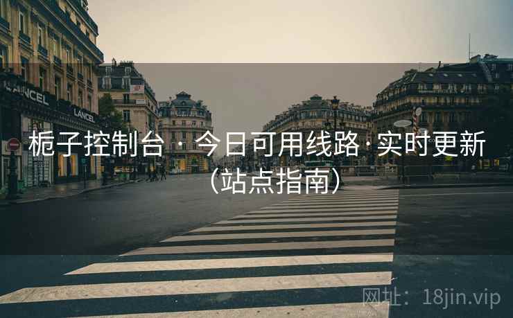 栀子控制台 · 今日可用线路·实时更新(站点指南) 栀子控制台 · 今日可用线路·实时更新(站点指南)